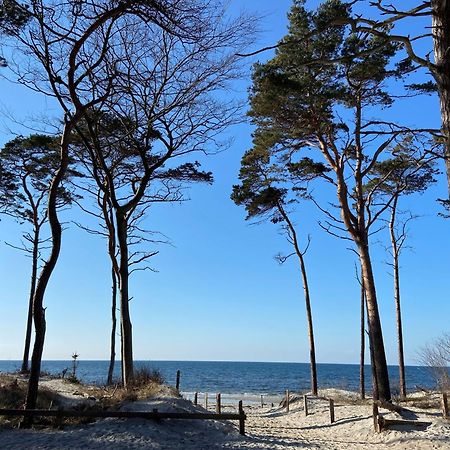 Ferienwohnung Strandkoje Діраген Екстер'єр фото