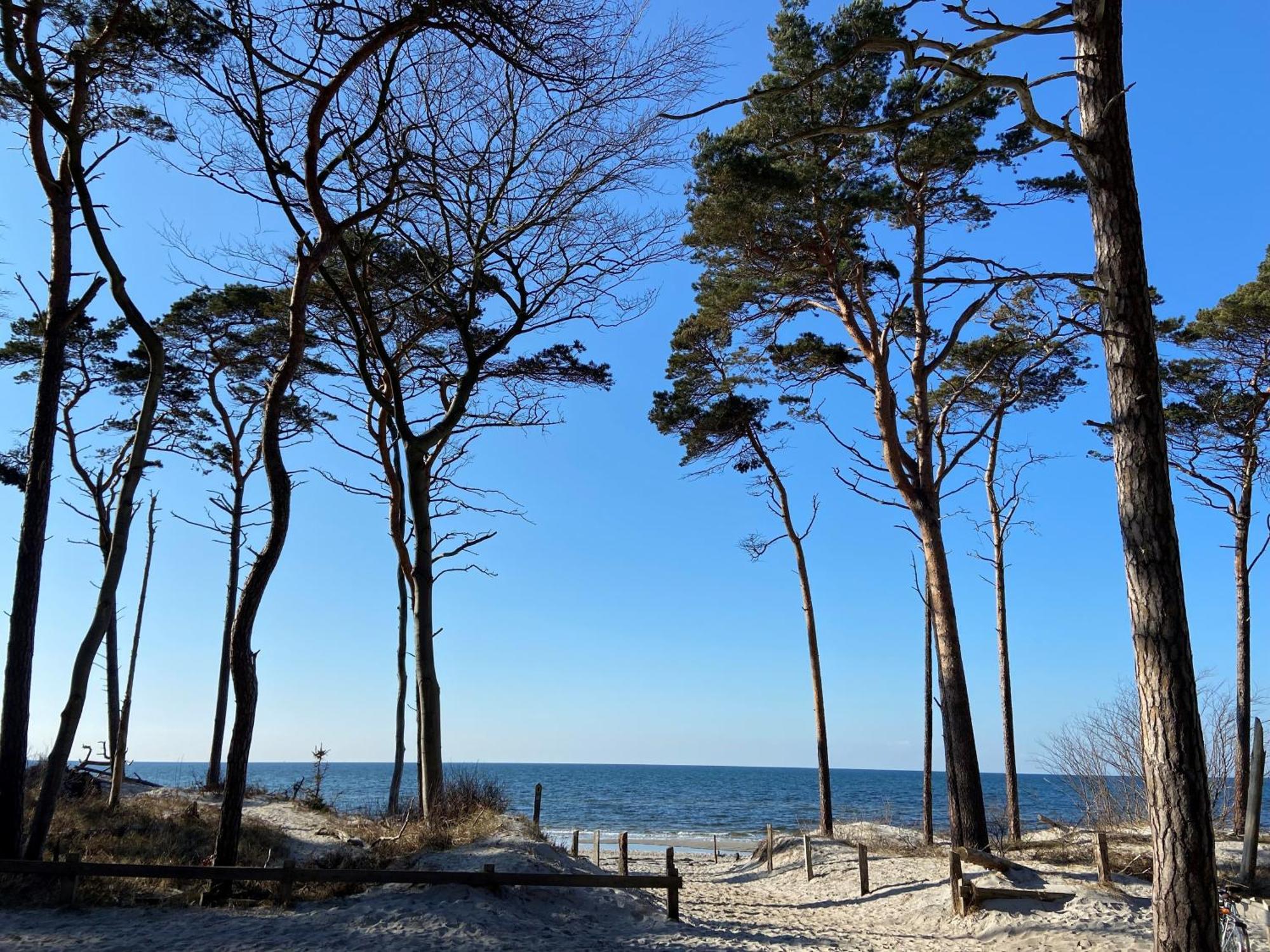 Ferienwohnung Strandkoje Діраген Екстер'єр фото